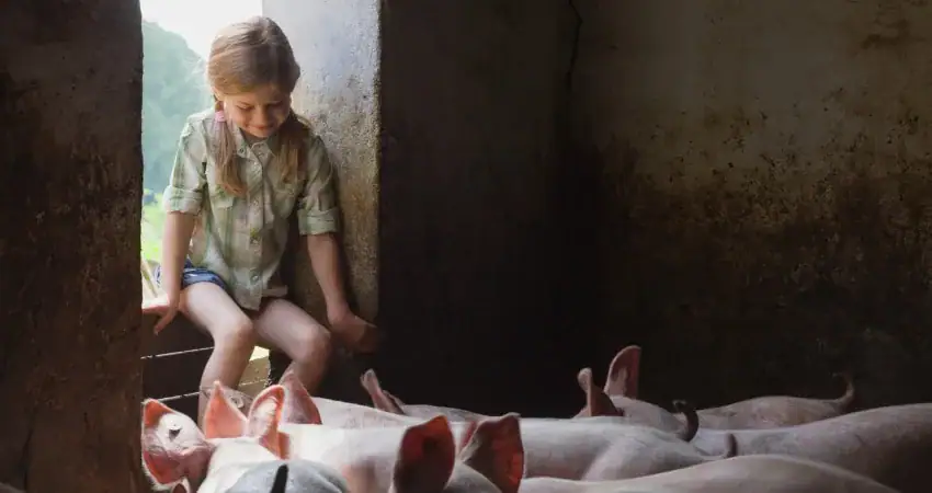 10-year-old girl’s feet infested with fleas after she ran through pigsty barefoot