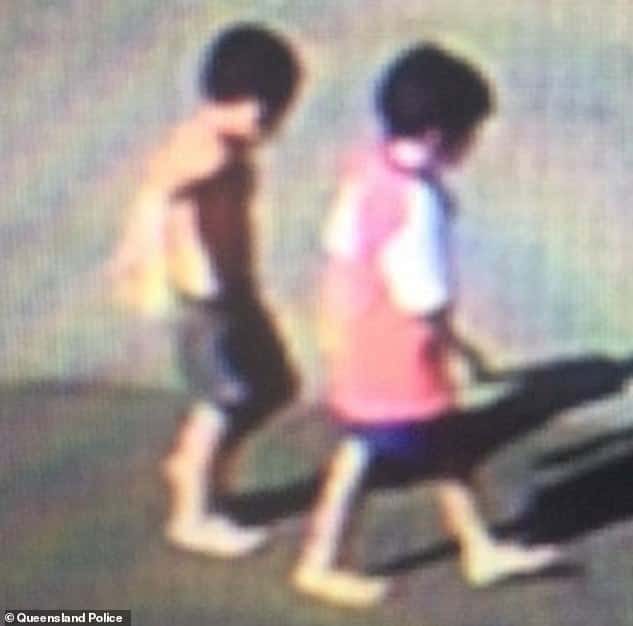 5-year-old and 3-year-old brothers who went missing have been found dead