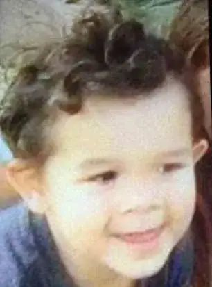 5-year-old and 3-year-old brothers who went missing have been found dead