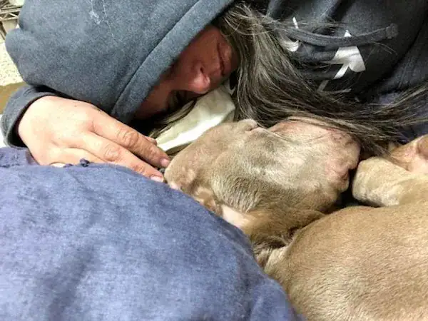 Woman holds dying shelter dog in her arms all night long so he won’t pass away alone