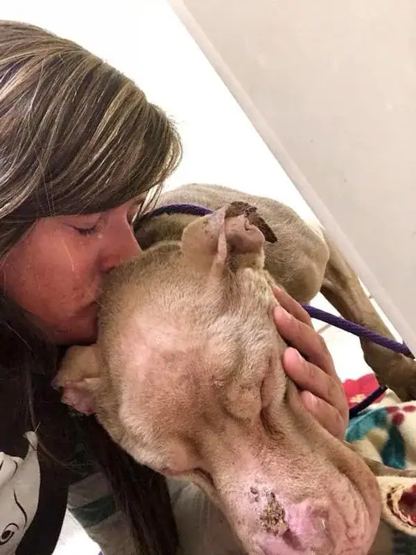 Woman holds dying shelter dog in her arms all night long so he won’t pass away alone