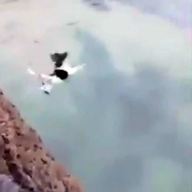 Police on hunt for monster who threw a terrified dog off cliff, while laughing friend filmed it