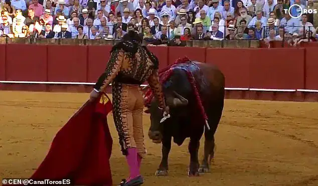 Matador bends over and wipes away ‘tears’ of bloodied bull before killing it