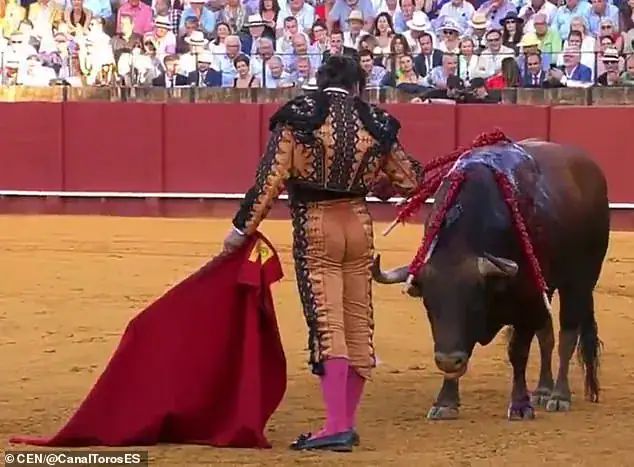 Matador bends over and wipes away ‘tears’ of bloodied bull before killing it