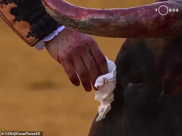 Matador bends over and wipes away ‘tears’ of bloodied bull before killing it