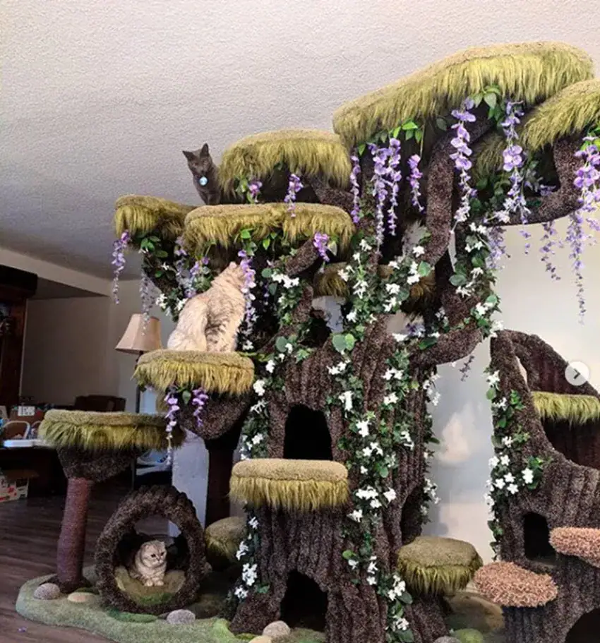 Company built the most magical cat tree for this special needs kitty and I’ve never seen anything like it
