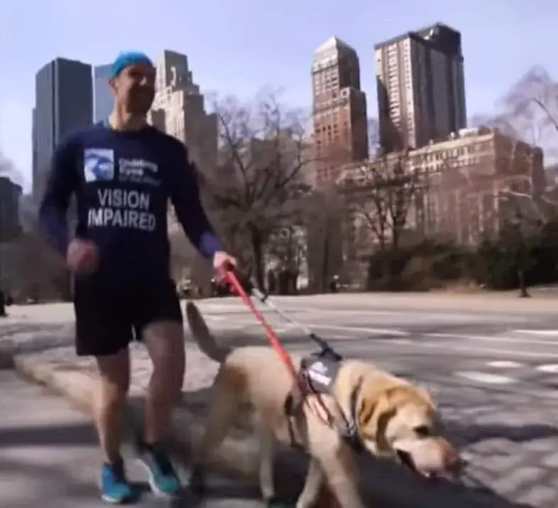 3 Labrador guide dogs help blind marathon runner make history