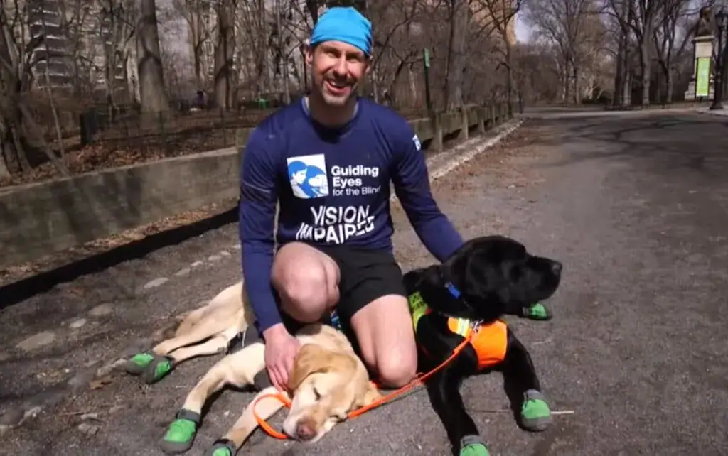 3 Labrador guide dogs help blind marathon runner make history