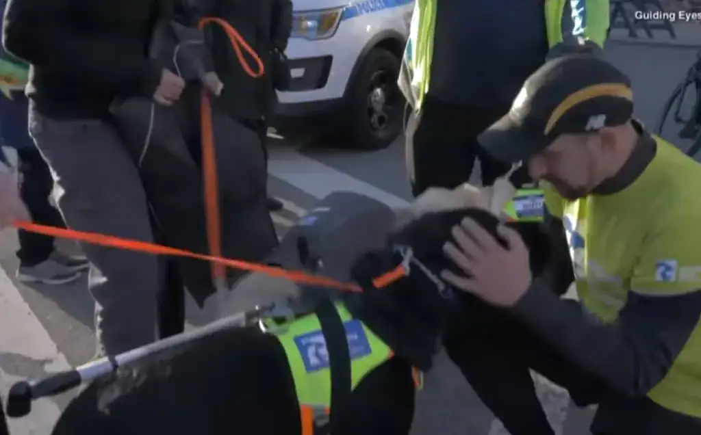 3 Labrador guide dogs help blind marathon runner make history