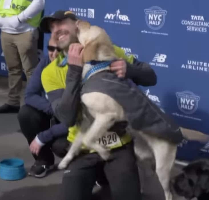 3 Labrador guide dogs help blind marathon runner make history