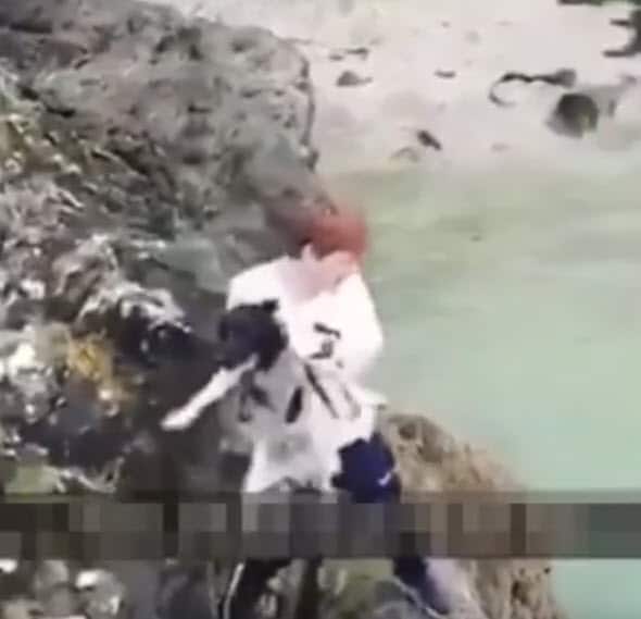 Police on hunt for monster who threw a terrified dog off cliff, while laughing friend filmed it
