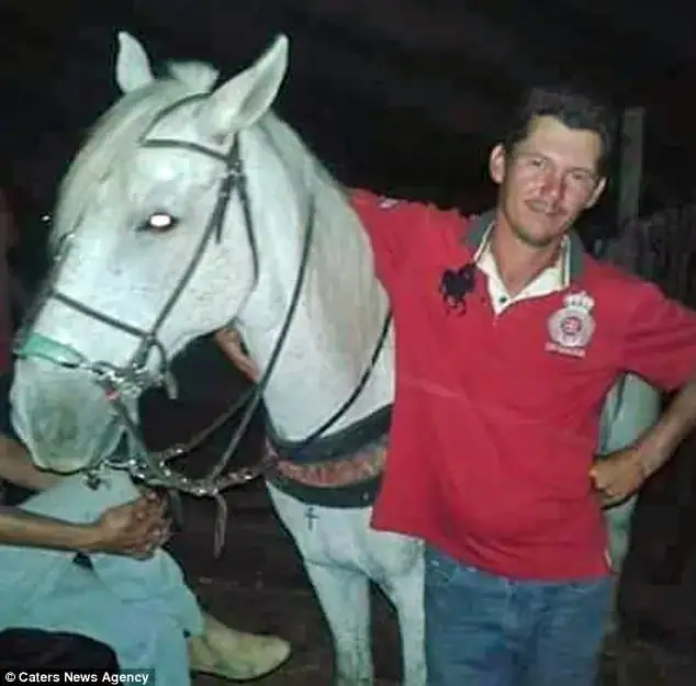 Gut-Wrenching Video Of Horse Crying At His Owner’s Funeral Will Break Your Heart
