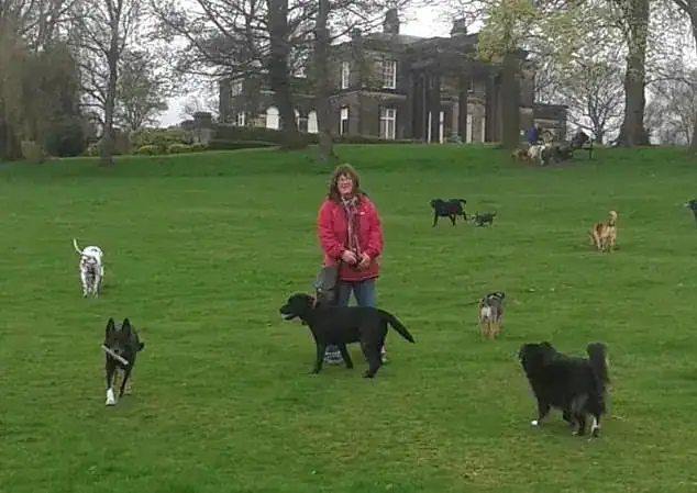 Professional dog walker gets her just deserts after sick abuse is caught on camera