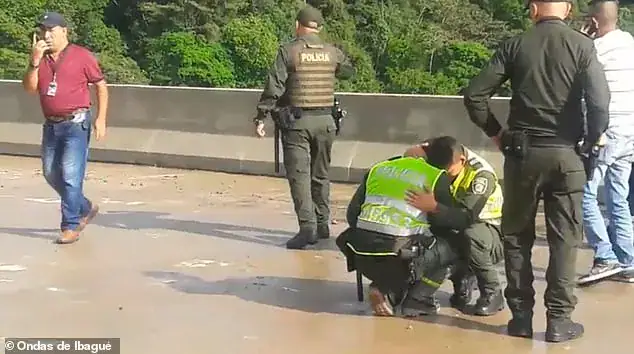 Young mom leaps from bridge to her death while holding onto her 10-year-old son
