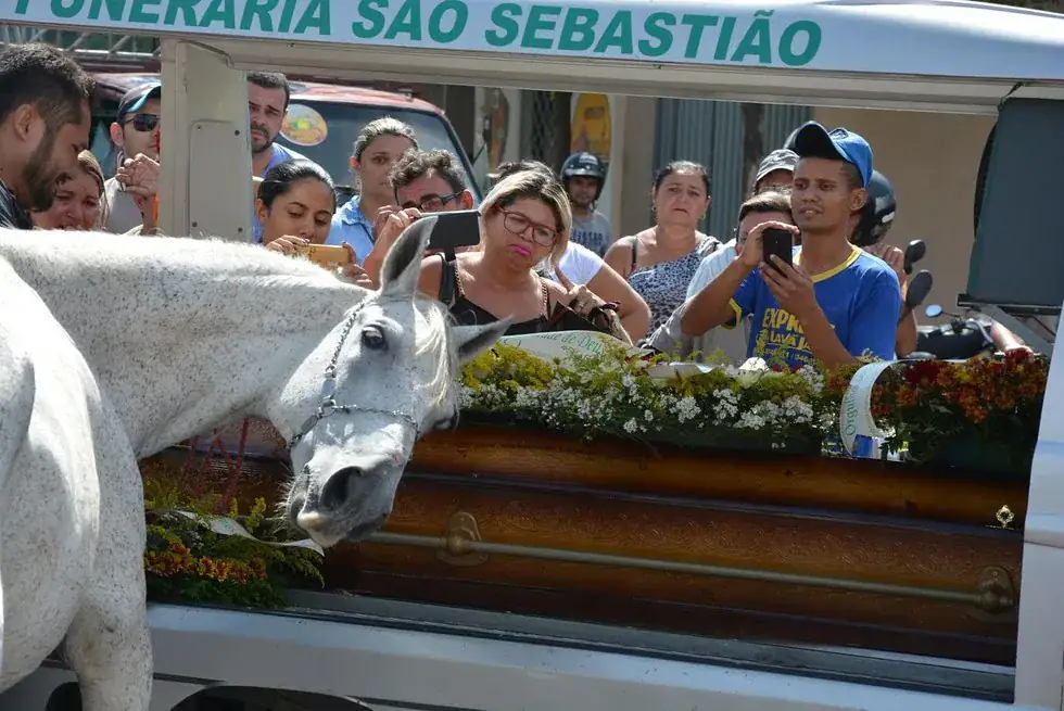 Horse lays head on coffin, gives touching farewell to human best friend before he’s laid to rest