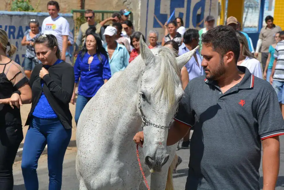 Horse lays head on coffin, gives touching farewell to human best friend before he’s laid to rest