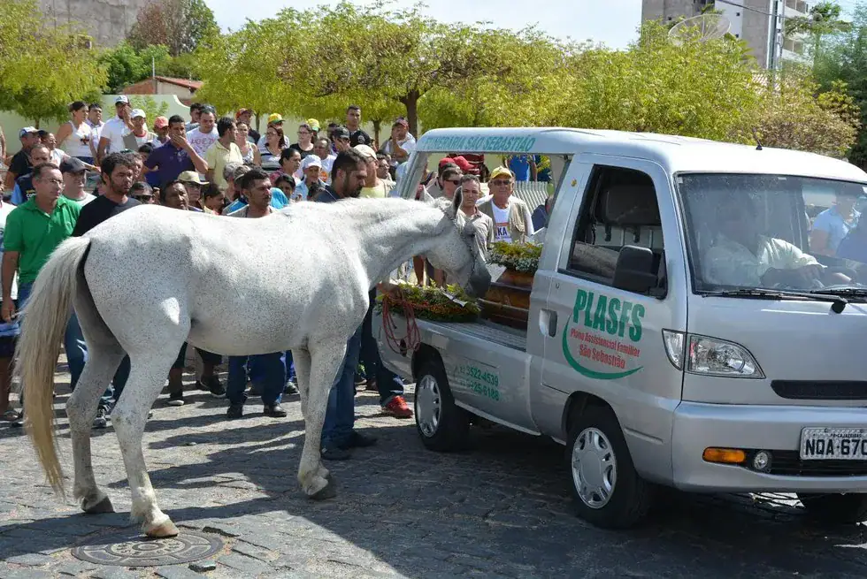 Horse lays head on coffin, gives touching farewell to human best friend before he’s laid to rest