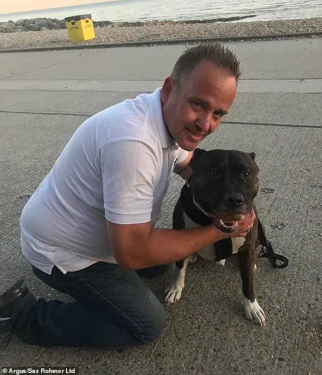 Pit bull saves 14-year-old girl from falling off deadly 60-foot cliff
