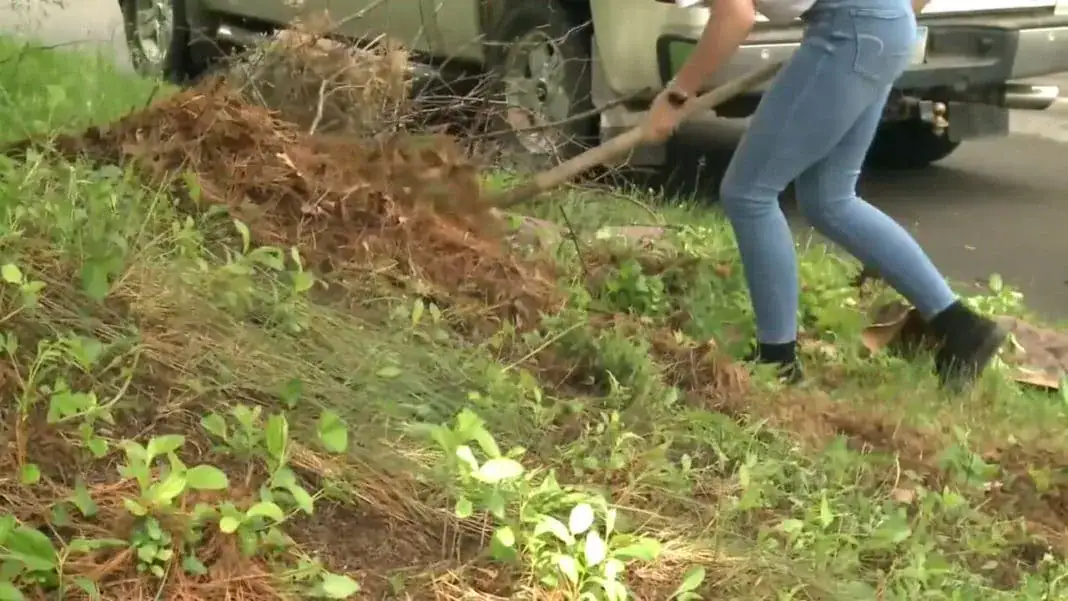 School gives P.E. credit to students who help with yard work for elderly and disabled neighbors