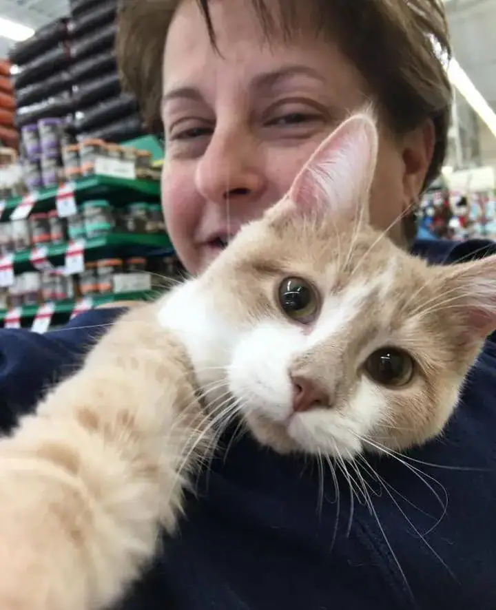 Rescue cat won’t stop licking and hugging his new owner after being adopted