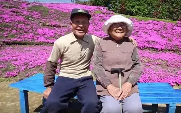 Loving husband plants thousands of flowers for his blind wife to smell