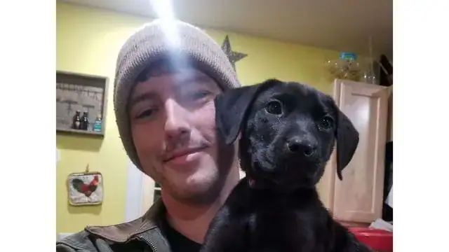 Deaf man adopts a rescue puppy who’s also deaf and teaches him sign language