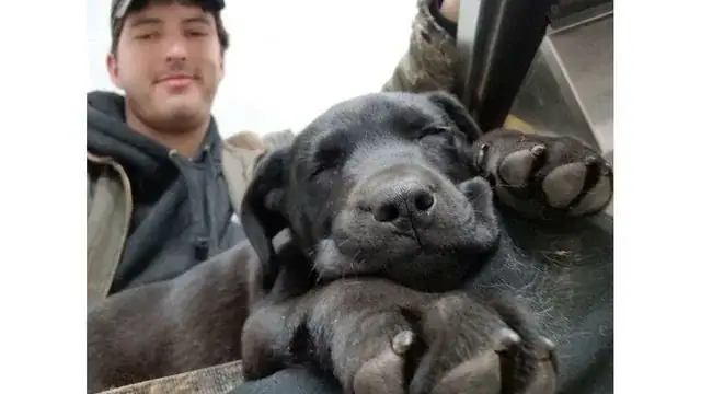 Deaf man adopts a rescue puppy who’s also deaf and teaches him sign language