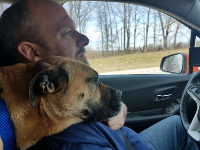 Skinny stray dog sees open car door and decides to jump in – only for her life to be changed forever