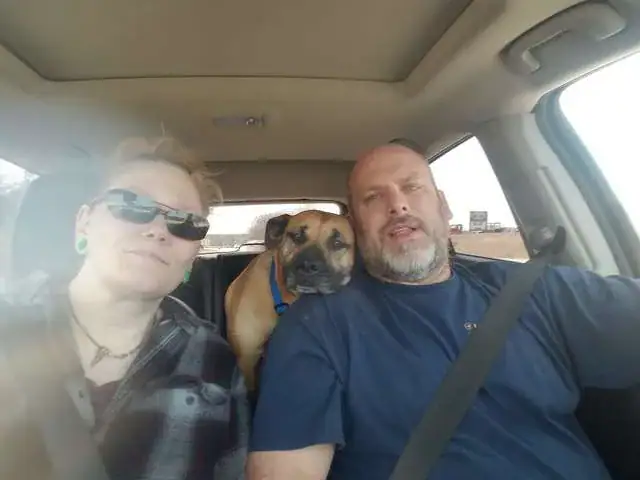 Skinny stray dog sees open car door and decides to jump in – only for her life to be changed forever