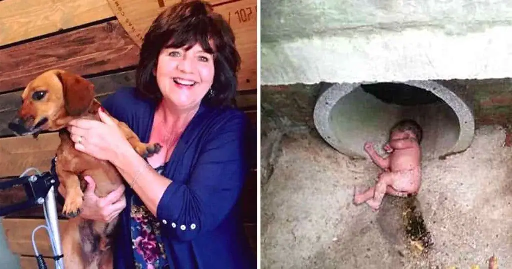 Little dog refuses to stop barking at storm drain, owner takes closer look and spots an abandoned baby