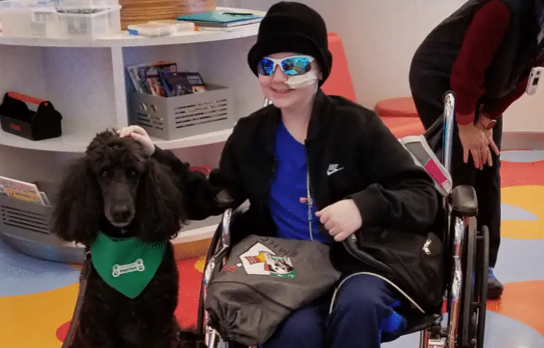 12-year-old boy returns home cancer-free after nearly a year at St. Jude’s Hospital