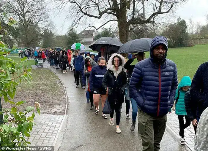 5,000 strangers stand in rain for hours to see if stem cells match for 5-year-old battling cancer
