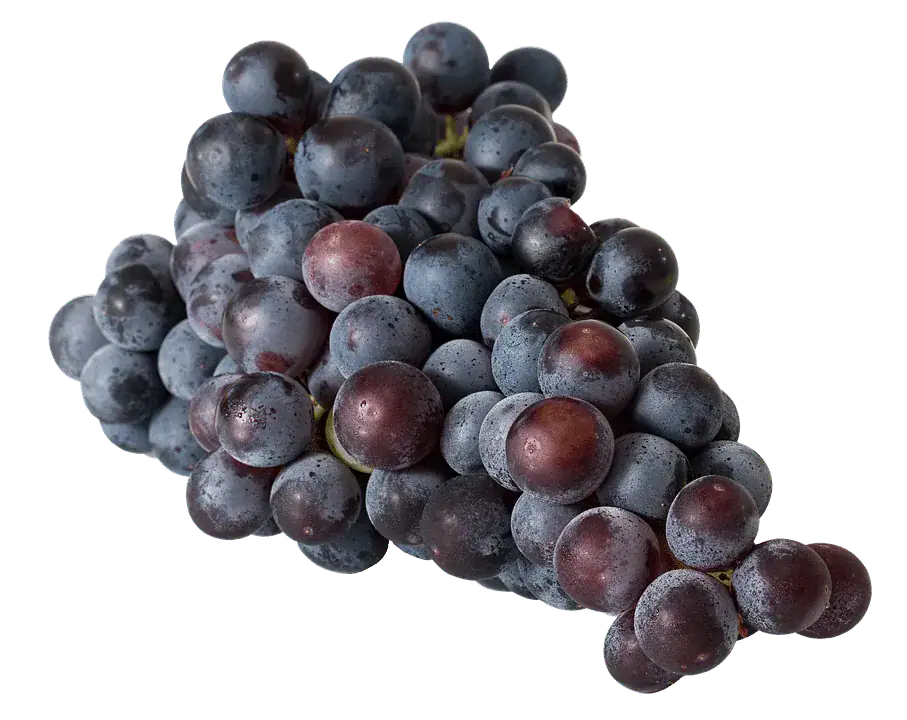 Study finds that drinking red wine and eating chocolate could help prevent aging