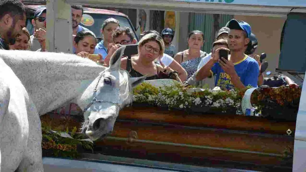 Gut-Wrenching Video Of Horse Crying At His Owner’s Funeral Will Break Your Heart