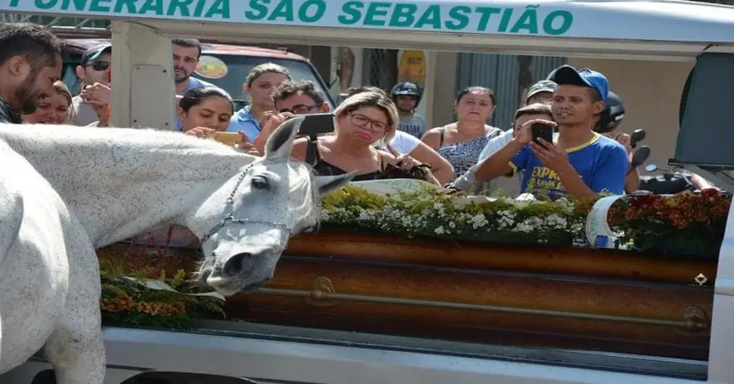 Horse lays head on coffin, gives touching farewell to human best friend before he’s laid to rest
