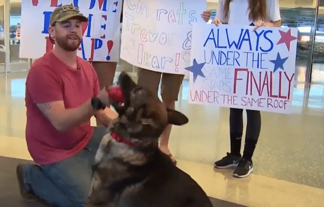 Dog charges toward soldier at airport, leaving innocent bystanders in tears