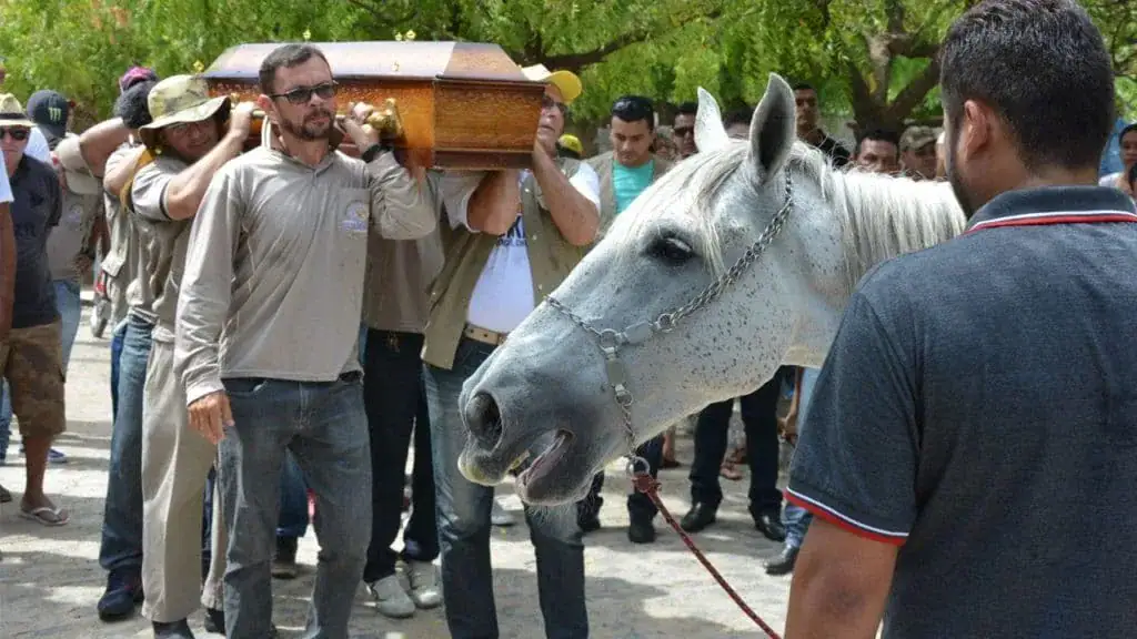 Gut-Wrenching Video Of Horse Crying At His Owner’s Funeral Will Break Your Heart