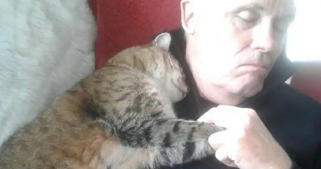 Man recovering from an operation wakes up to cat snuggling him – he doesn’t own a cat