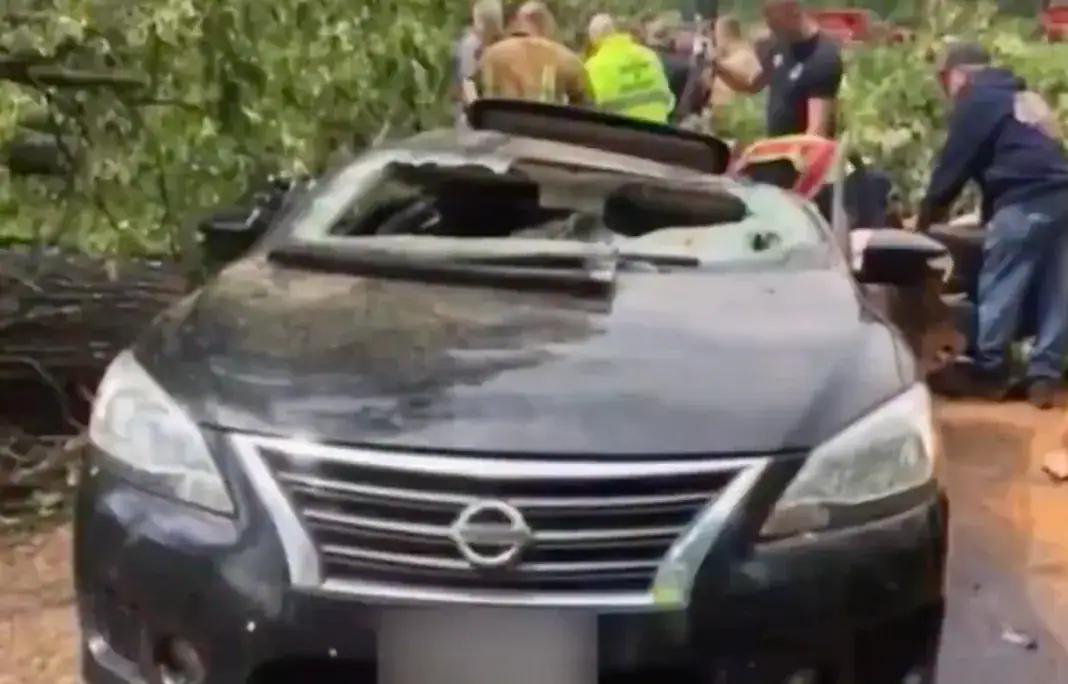 Scene of the accident