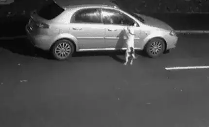 Dog Desperately Tries To Jump Back Into Car As Cruel Owner Dumps Him On The Side Of The Road