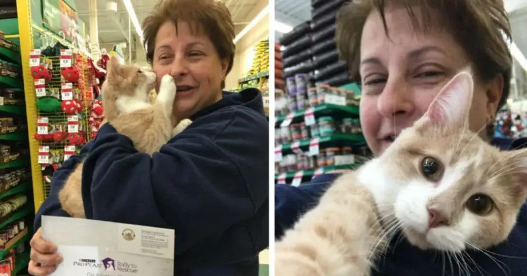 Rescue cat won’t stop licking and hugging his new owner after being adopted