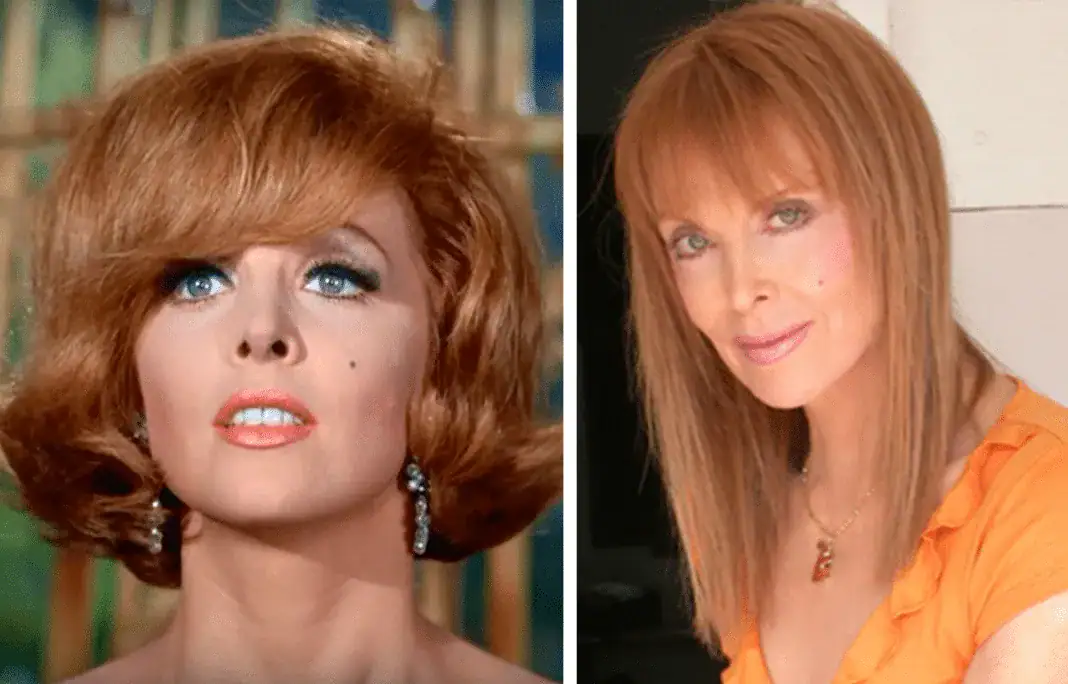 Tina Louise, Ginger Gran, Gilligan's Island