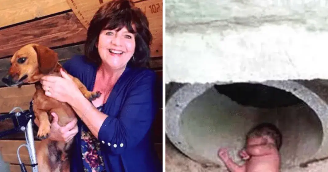 Little dog refuses to stop barking at storm drain, owner takes closer look and spots an abandoned baby