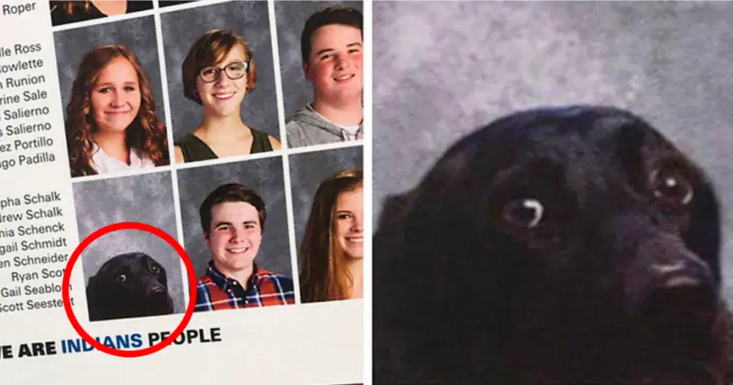 School Includes Teen Student’s Service Dog In Its Yearbook – And It’s Just Adorable