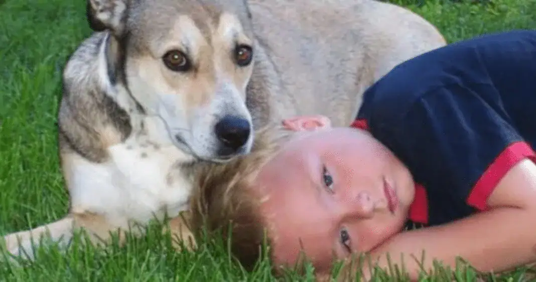 12-year-old boy dies after his school takes away asthma inhaler and locks it up