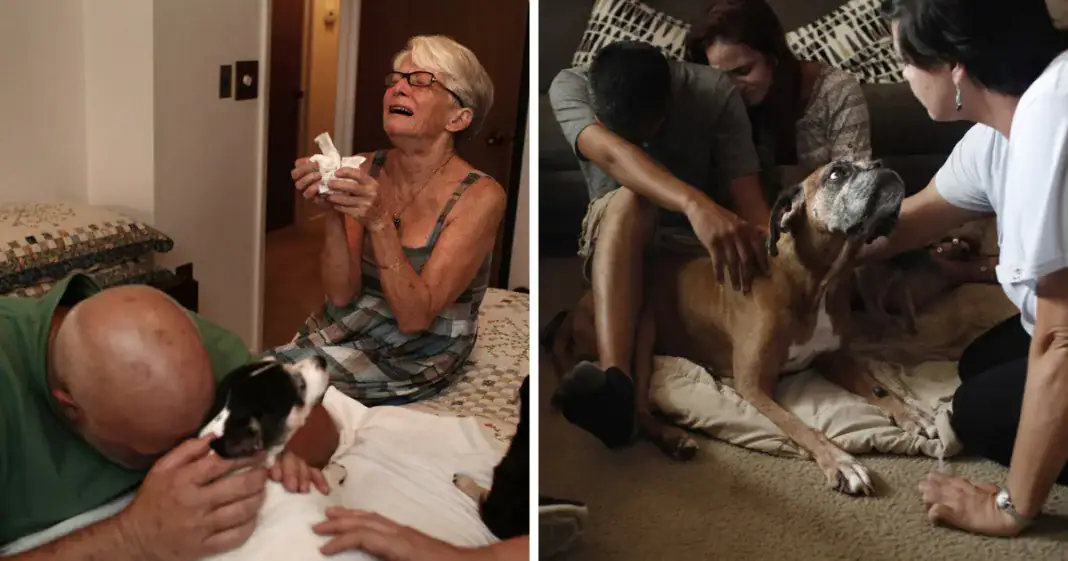 Heartbreaking photos of pet owners saying final goodbye to their dying pets