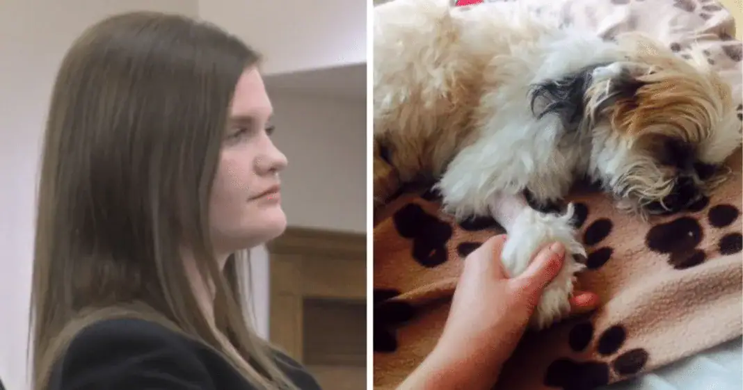 Groomer accused of strangling pets says she should still be allowed to work with animals