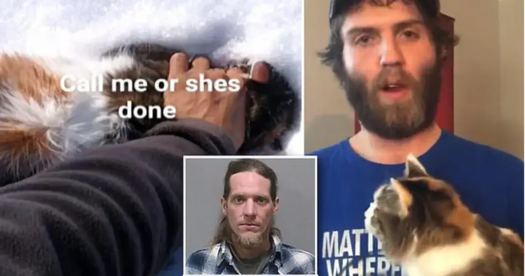 Monster jailed after stealing former roommate’s cat and torturing it on video