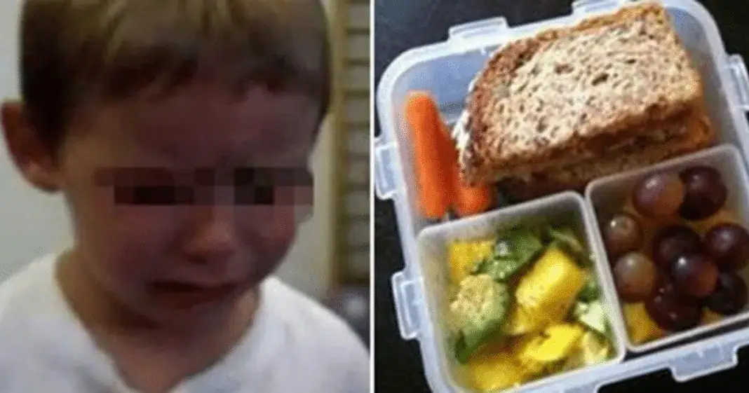 Mom outraged after teacher throws age 4 son’s school lunch snack away in front of entire class