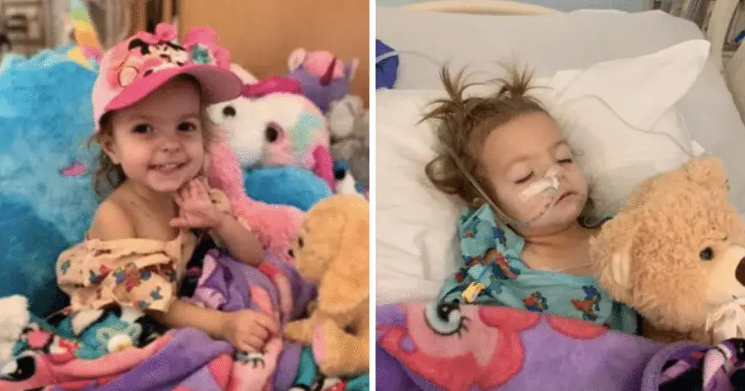 Toddler diagnosed with rare stage three ovarian cancer receives clean bill of health